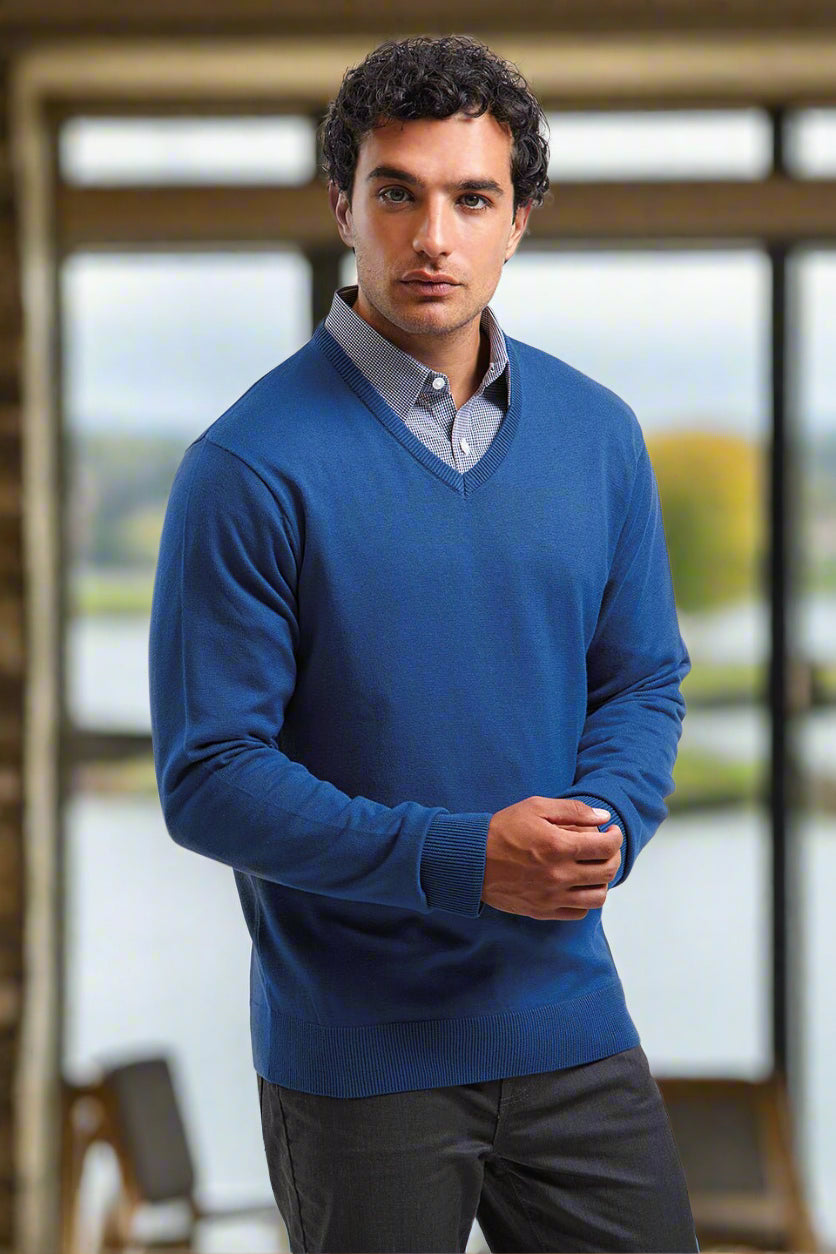 men's v neck sweater with tie