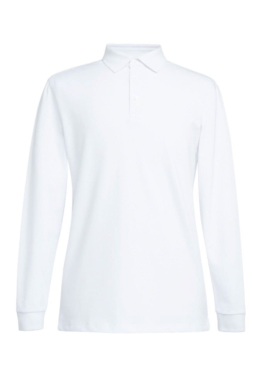 4222: Frederick Premium Mens Polo Shirt Mens Polos Brook Taverner